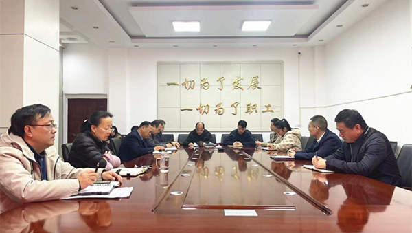 公司召开党建专题工作会议